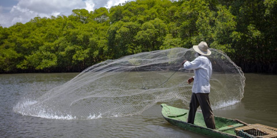 Tema: Reserva Extrativista Marinha de Canavieiras. Comunidade de Campinhos. João Barba (líder CONFREM) e pesca de robalo com tarrafa
Local: Canavieiras/BA
Data: OUT/2015
Autor: Enrico Marone

Subject: Marine extractive reserves of Canavieiras –Campinhos community
Where: Canavieiras/BA
Date: OCT//2015